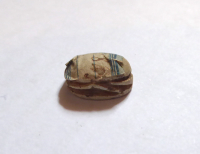 Thumbnail image for beetle