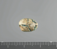 Thumbnail image for beetle