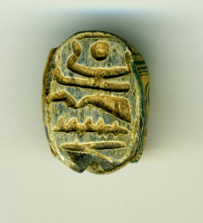 beetle