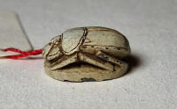 Thumbnail image for beetle