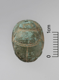 Thumbnail image for beetle