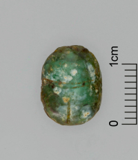 Thumbnail image for beetle