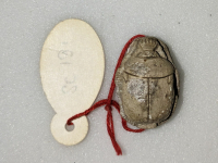 Thumbnail image for beetle