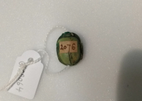 Thumbnail image for beetle