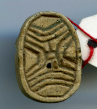 Thumbnail image for beetle