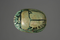 Thumbnail image for beetle