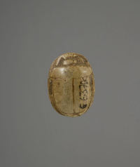 Thumbnail image for beetle