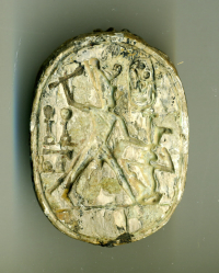 Thumbnail image for beetle