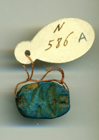 Thumbnail image for beetle