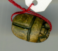 Thumbnail image for beetle