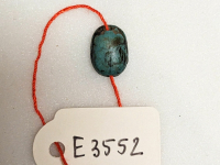 Thumbnail image for beetle