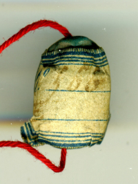 Thumbnail image for beetle