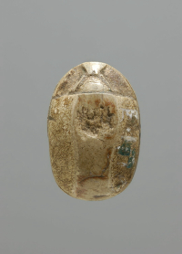 Thumbnail image for beetle