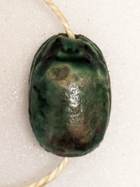 Thumbnail image for beetle