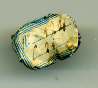Thumbnail image for beetle