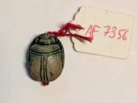 Thumbnail image for beetle
