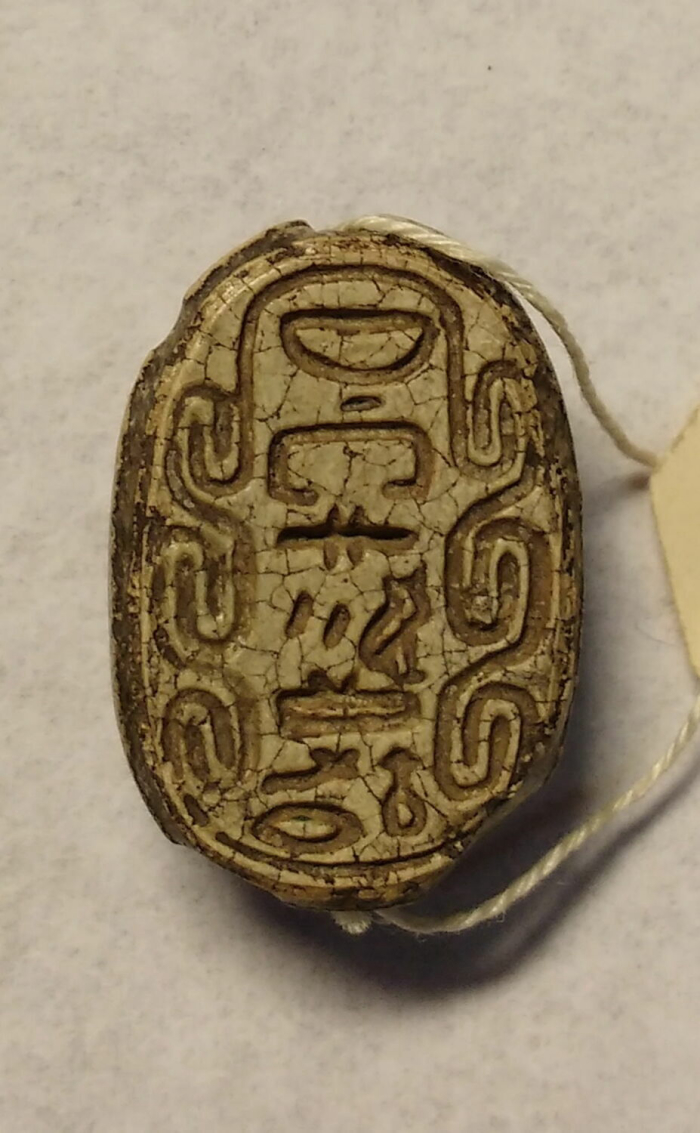 scarab; seal