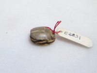Thumbnail image for openwork scarab