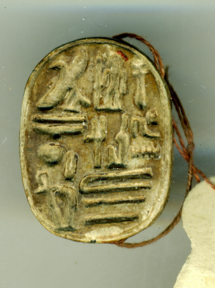 detailed scarab