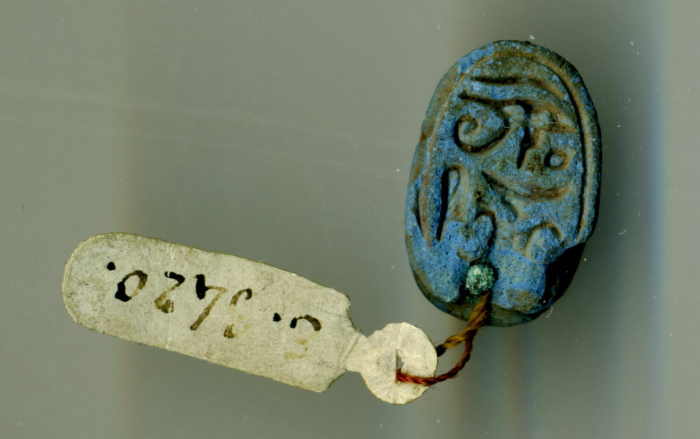 detailed scarab