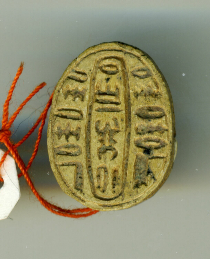 detailed scarab