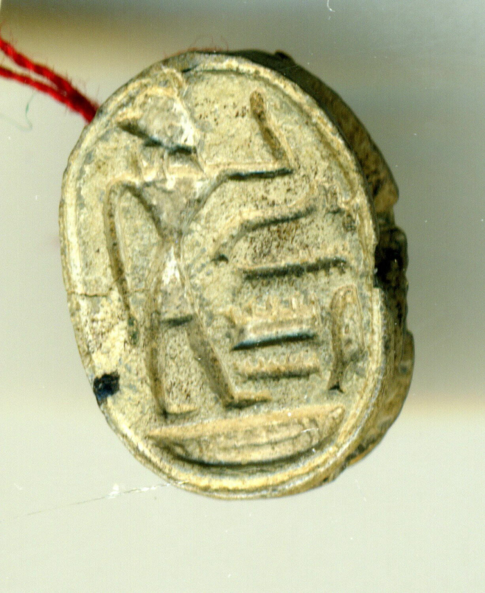 detailed scarab