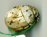 Thumbnail image for detailed scarab