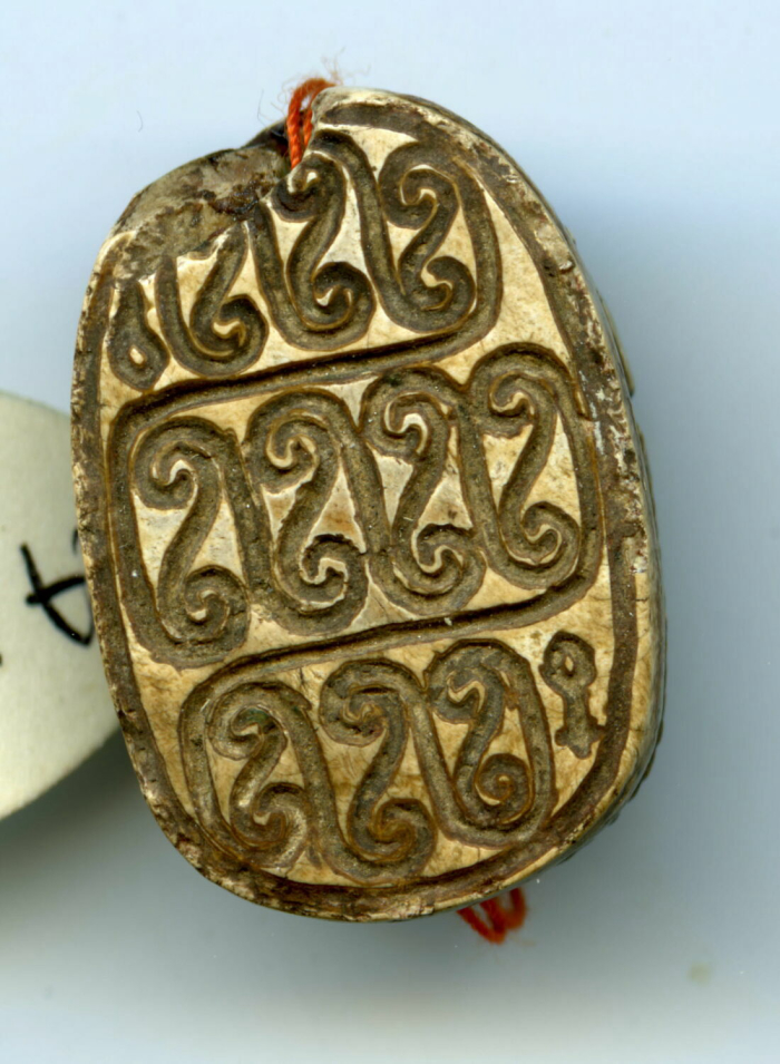 detailed scarab