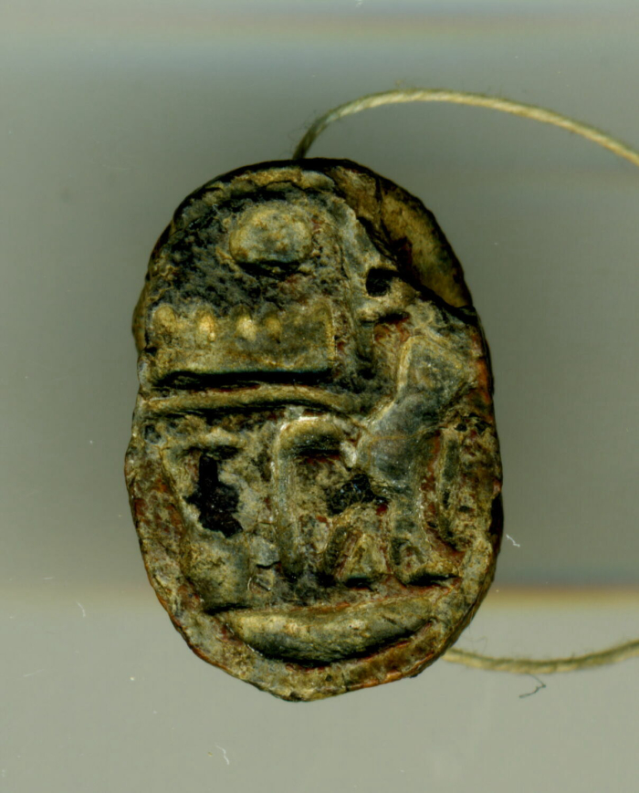 detailed scarab