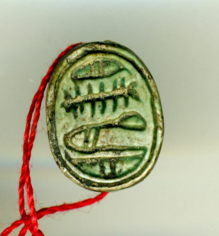 detailed scarab