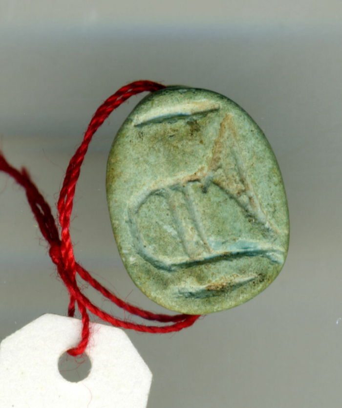 detailed scarab