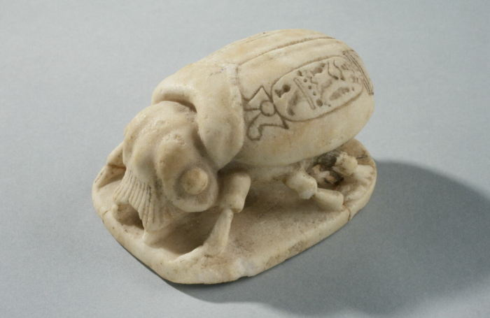 detailed scarab