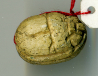 Thumbnail image for detailed scarab