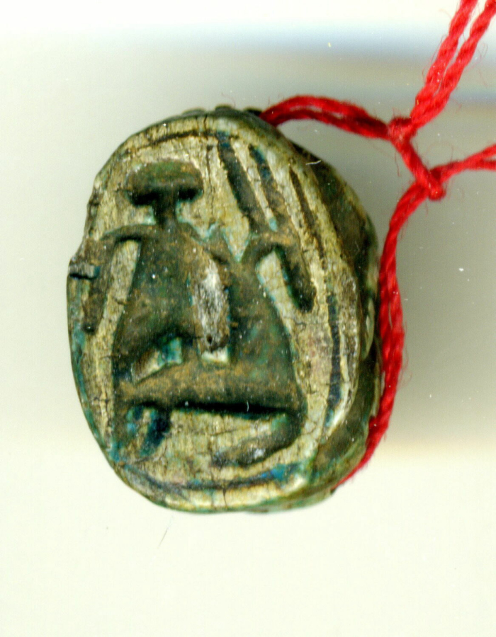 detailed scarab