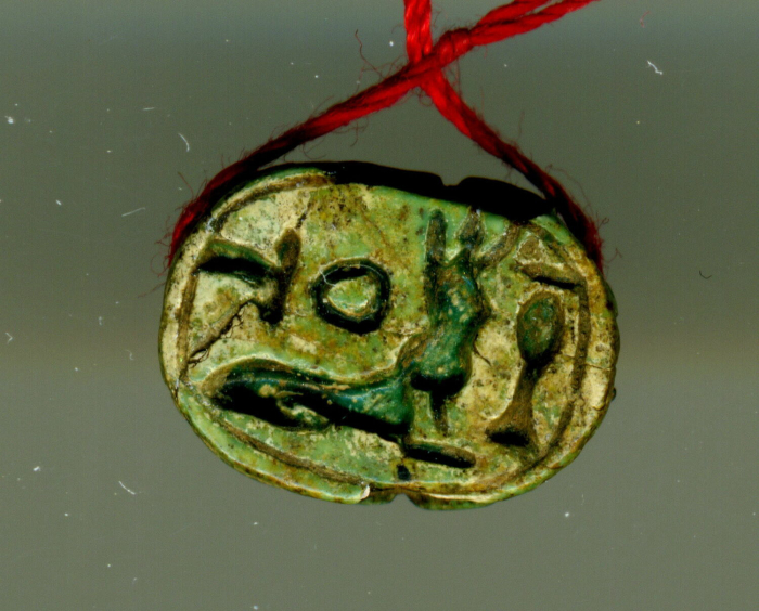 detailed scarab