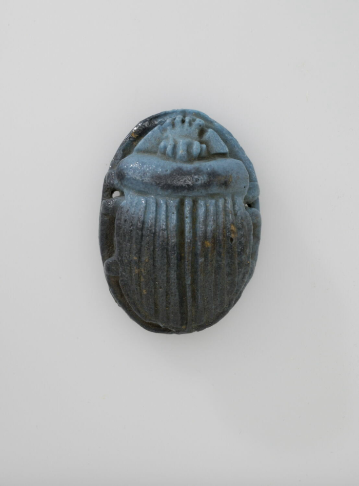 scarabée funéraire