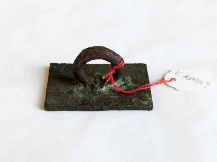 seal
