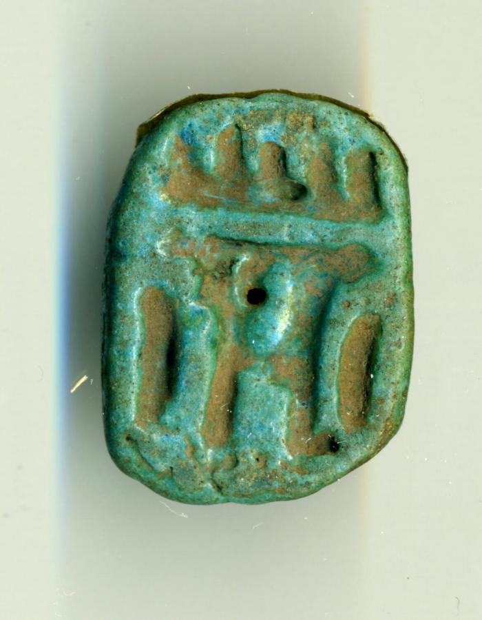 fasciculated seal