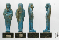 pseudo-mummy