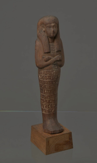 funerary scarab; fishnet