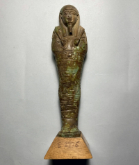 pectoral