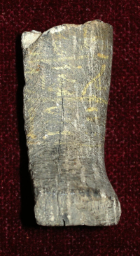 Thumbnail image for mummified funerary servant