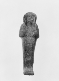 Thumbnail image for mummified funerary servant