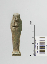 detailed scarab