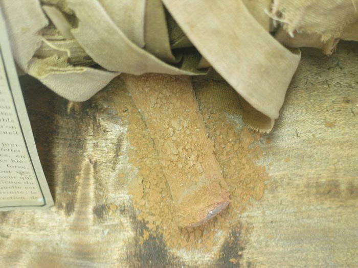 mummified funerary servant
