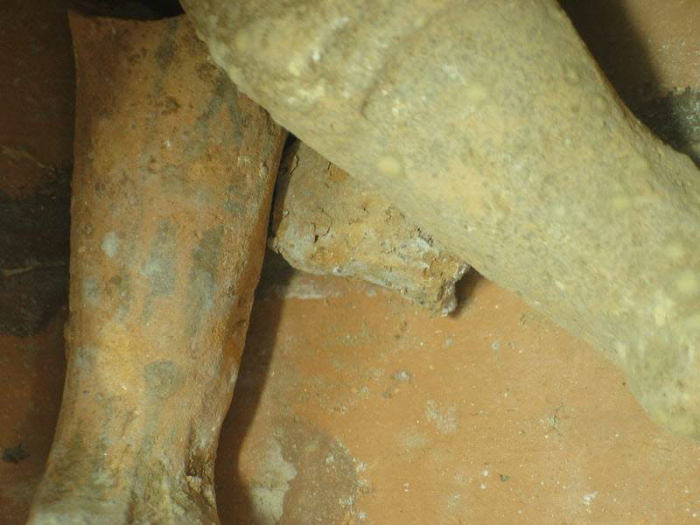 mummified funerary servant
