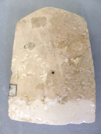 Thumbnail image for arched stele