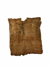 amulet