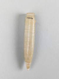 Thumbnail image for miniature vase