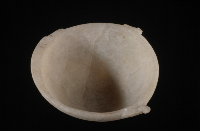 plastic vase; cup